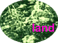 The Land Open Project